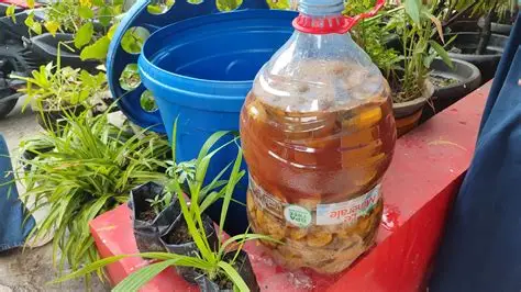 Mengubah Limbah Dapur Menjadi Cairan Ajaib Solusi Hijau dari Rumah