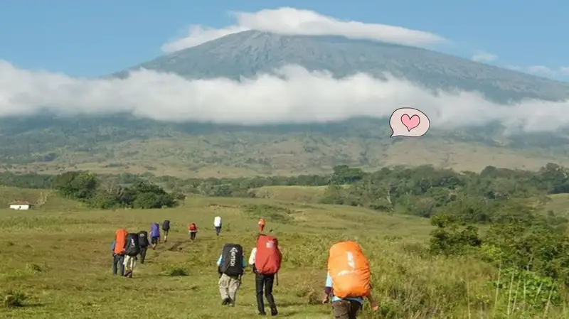 Menjelajah Jalur Hijau: Rekomendasi Trekking Terbaik di Jawa Barat
