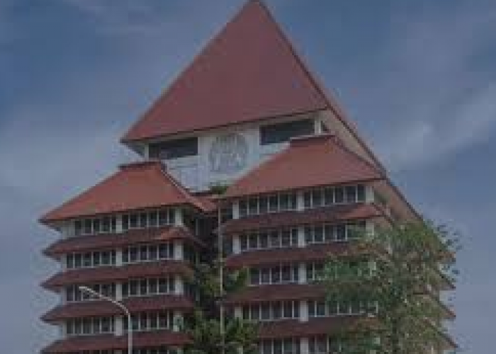 Peluang Karier Menjanjikan di Jurusan D3 UI yang Sepi Peminat SNBP: Strategi Lolos dan Berkembang Pasca-Lulus