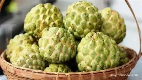 Srikaya Bukan Sekedar Manis, Ini Manfaatnya untuk Kesehatan Tubuh