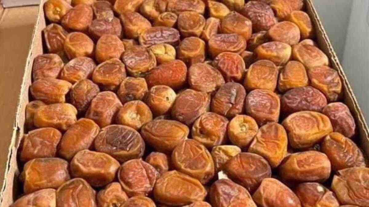 Tidak Harus Banyak, Ini Jumlah Kurma yang Disunnahkan Saat Berbuka